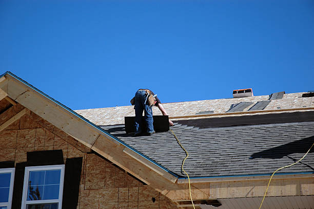 Best Roof Gutter Cleaning  in Woodbury, TN