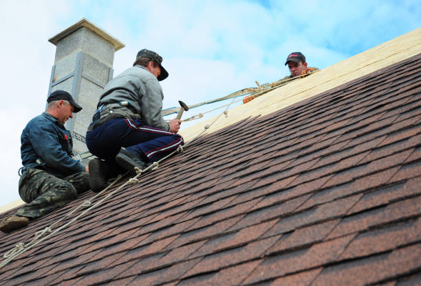Best Roof Leak Repair  in Woodbury, TN